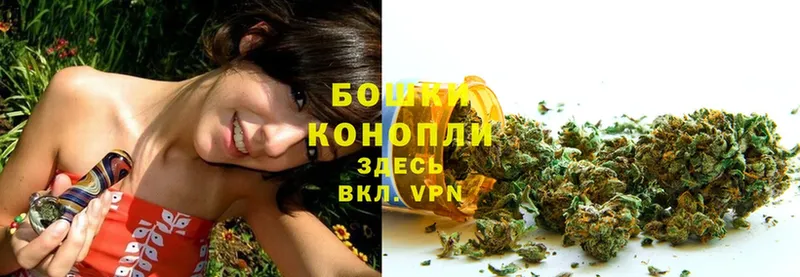 Марихуана THC 21%  Невинномысск 